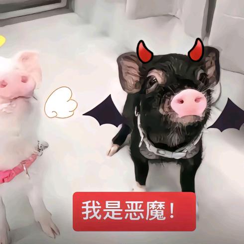 幸福降临我身边
