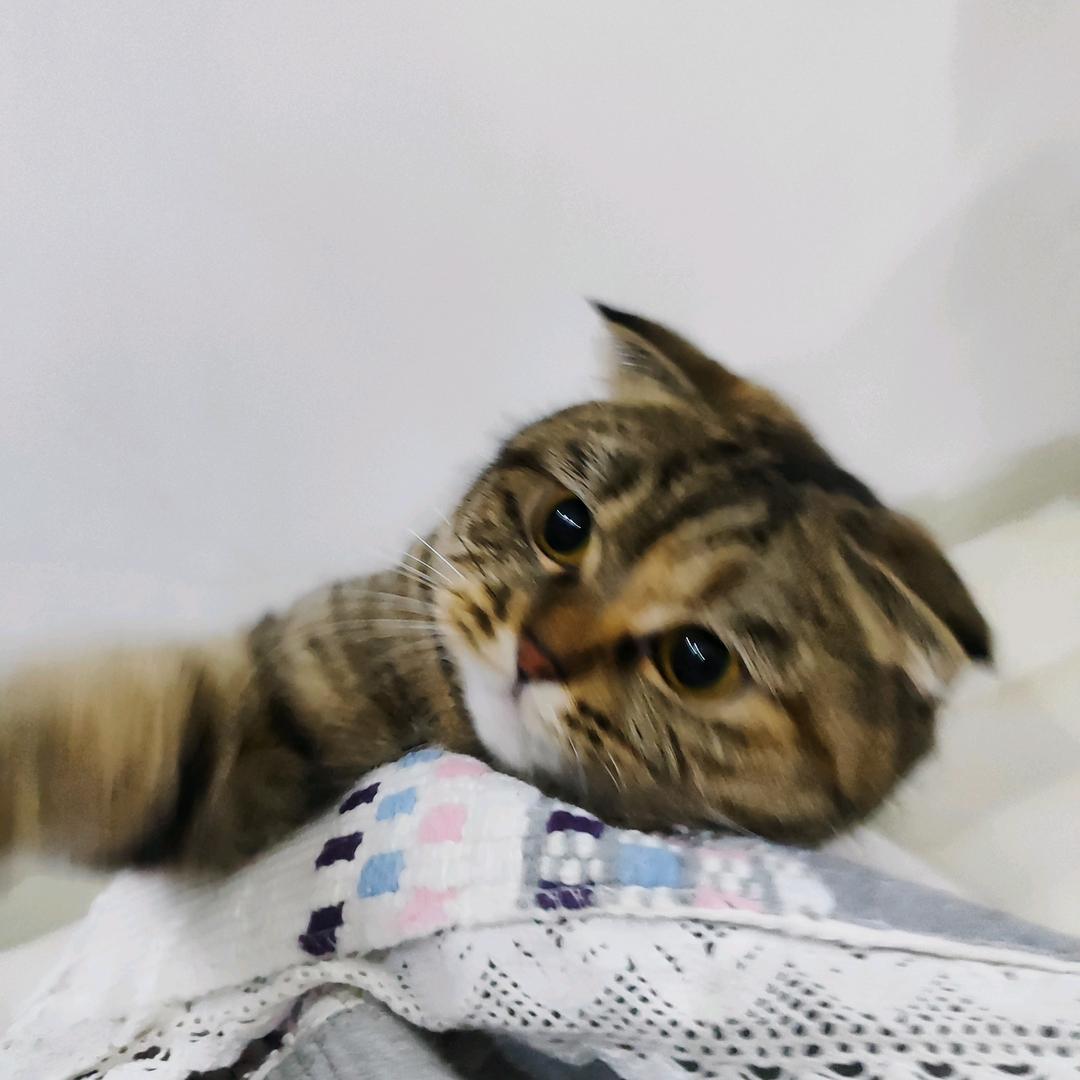 @五月