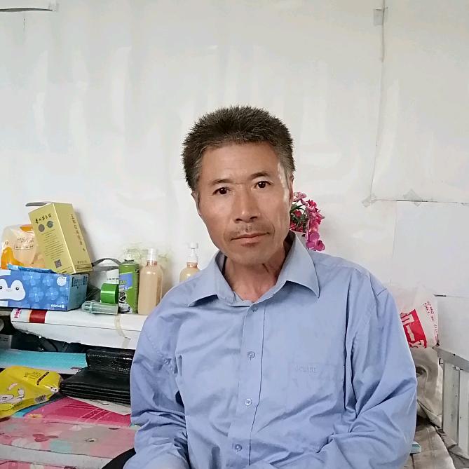 杨不服