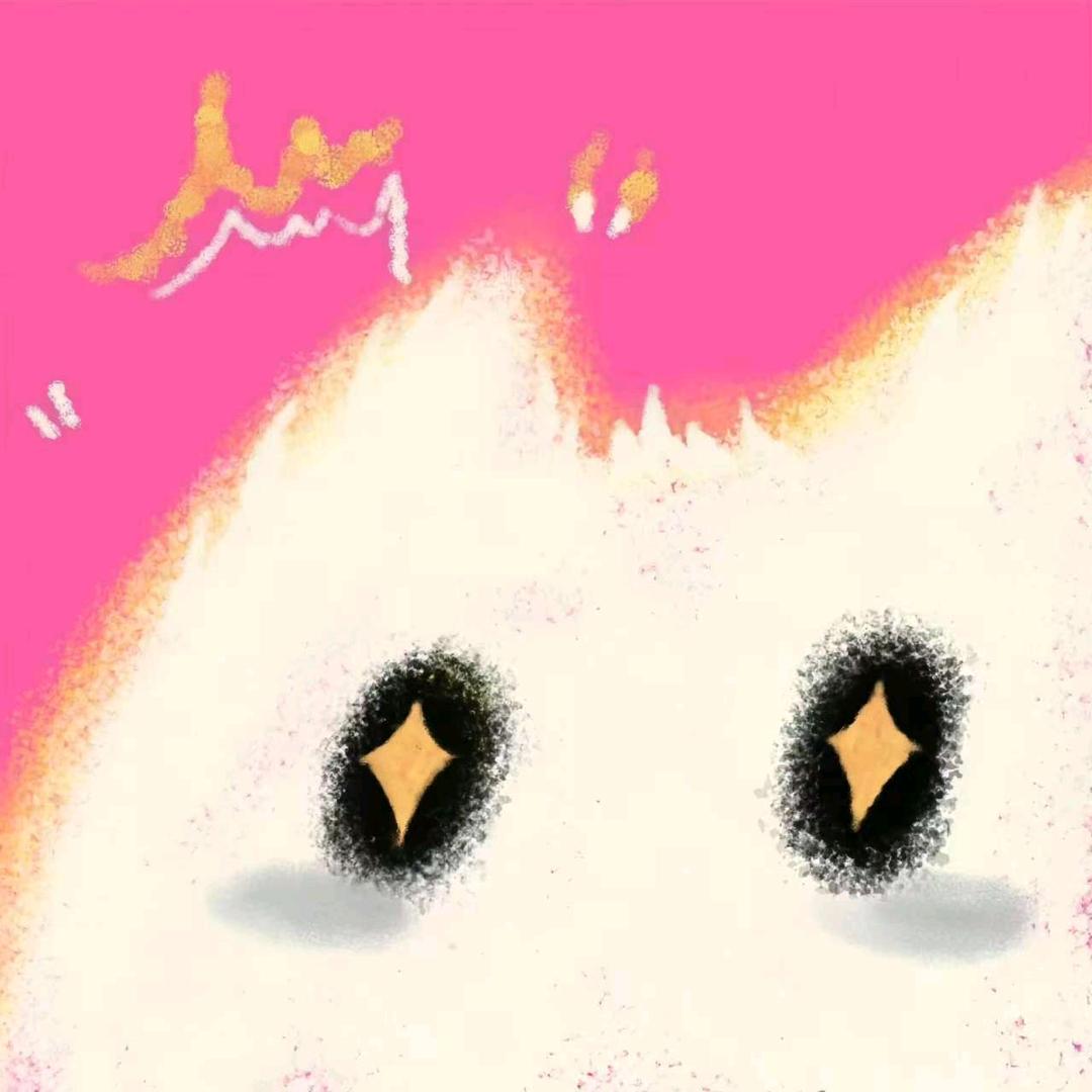 困懵⭕的太阳☀