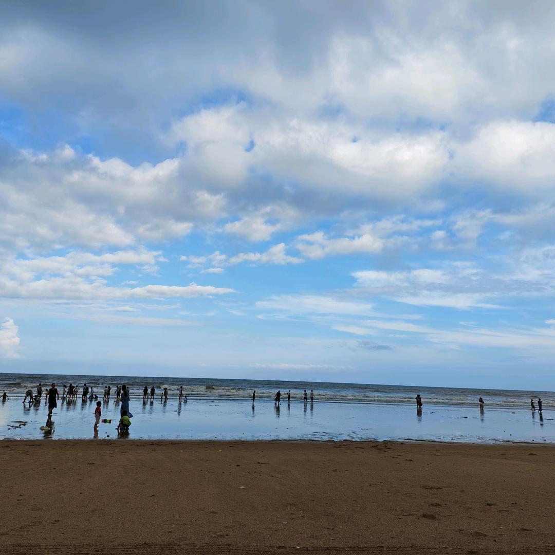 海青
