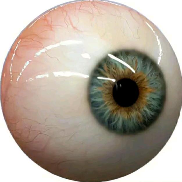 𝑳𝑪𝒔𝒑𝒂𝒙