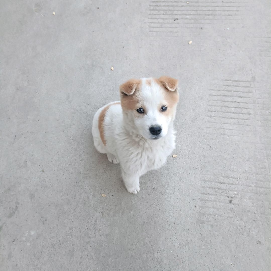 怎么开心怎么玩