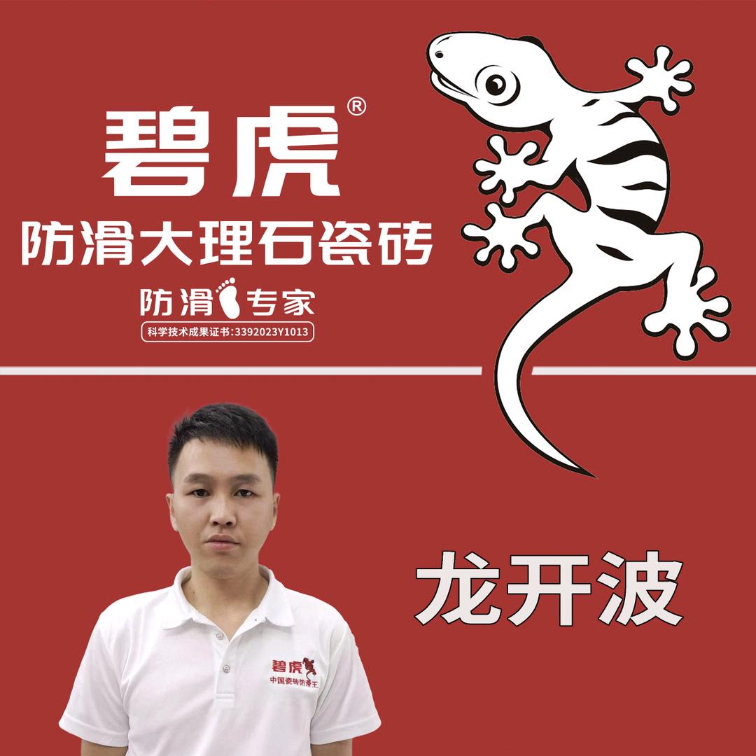 祥云-碧虎防滑大理石·瓷砖     小龙
