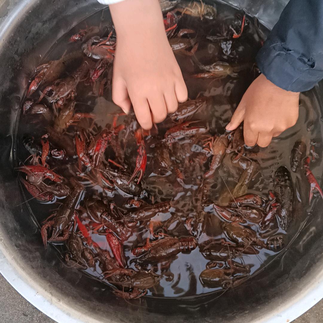 起来搬砖