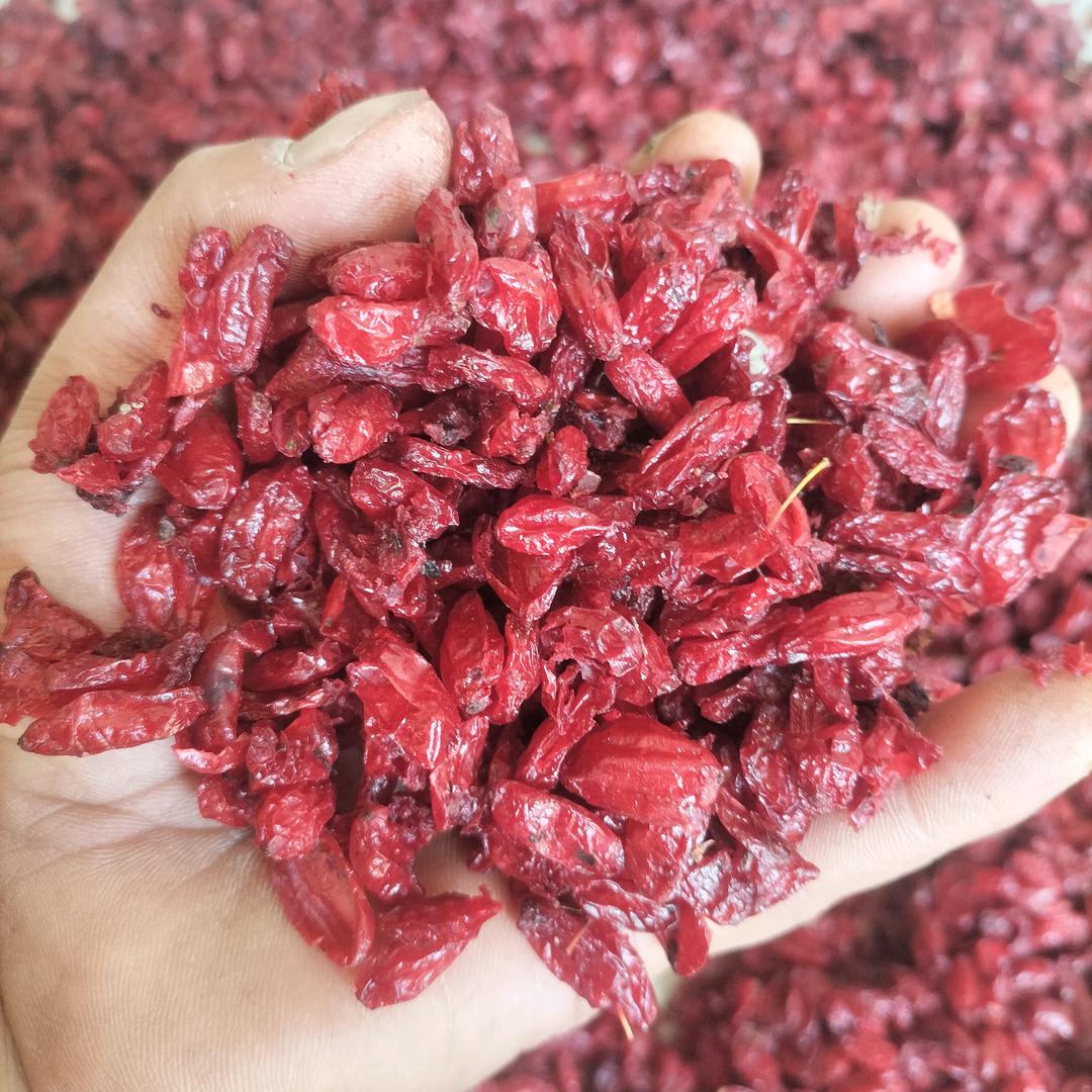 常乐🔥（中药材）