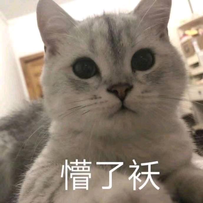 CS2_盆盆