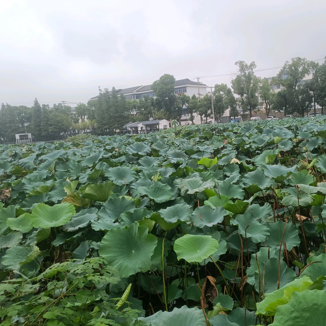 喂你吃糖