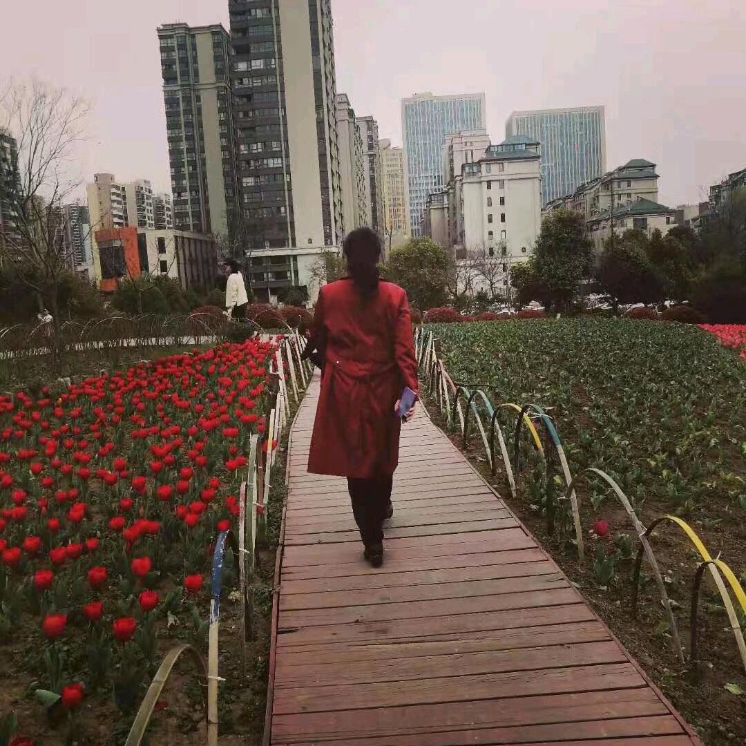 风雨过后（pxm）