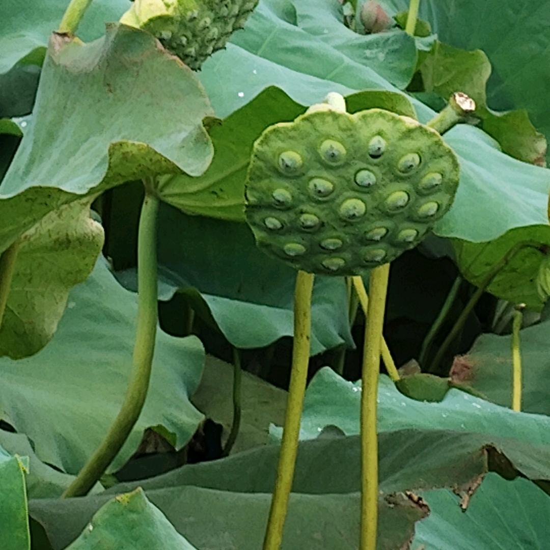 开心一天是一天