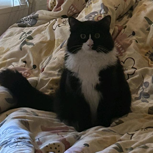 地铁逃生—技术主理人