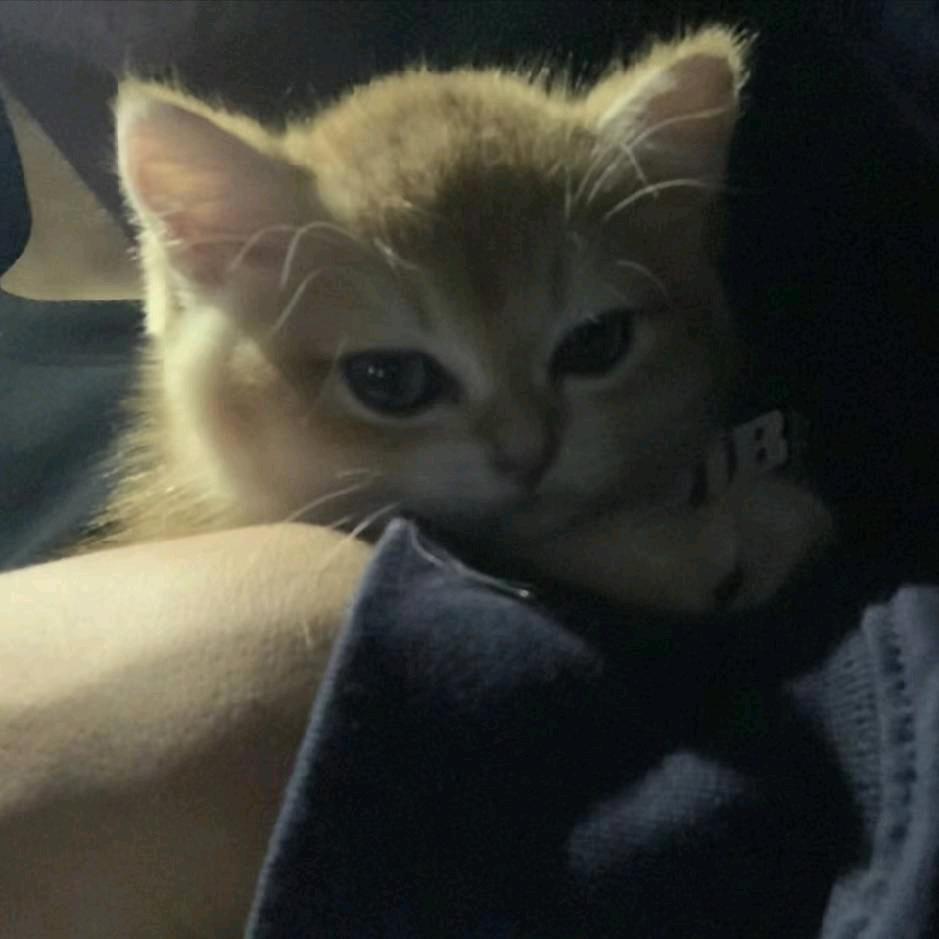 ~\(≧▽≦)/~