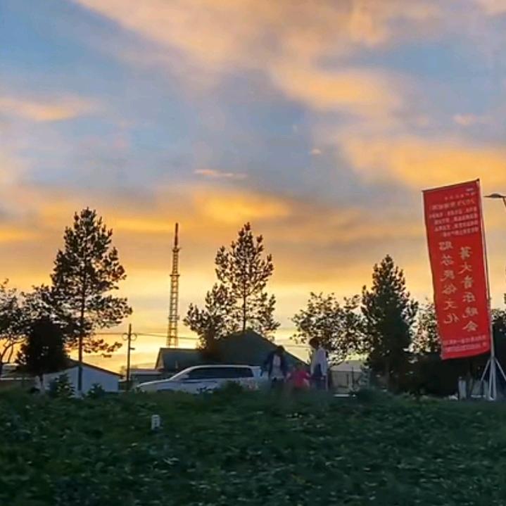 ……………………