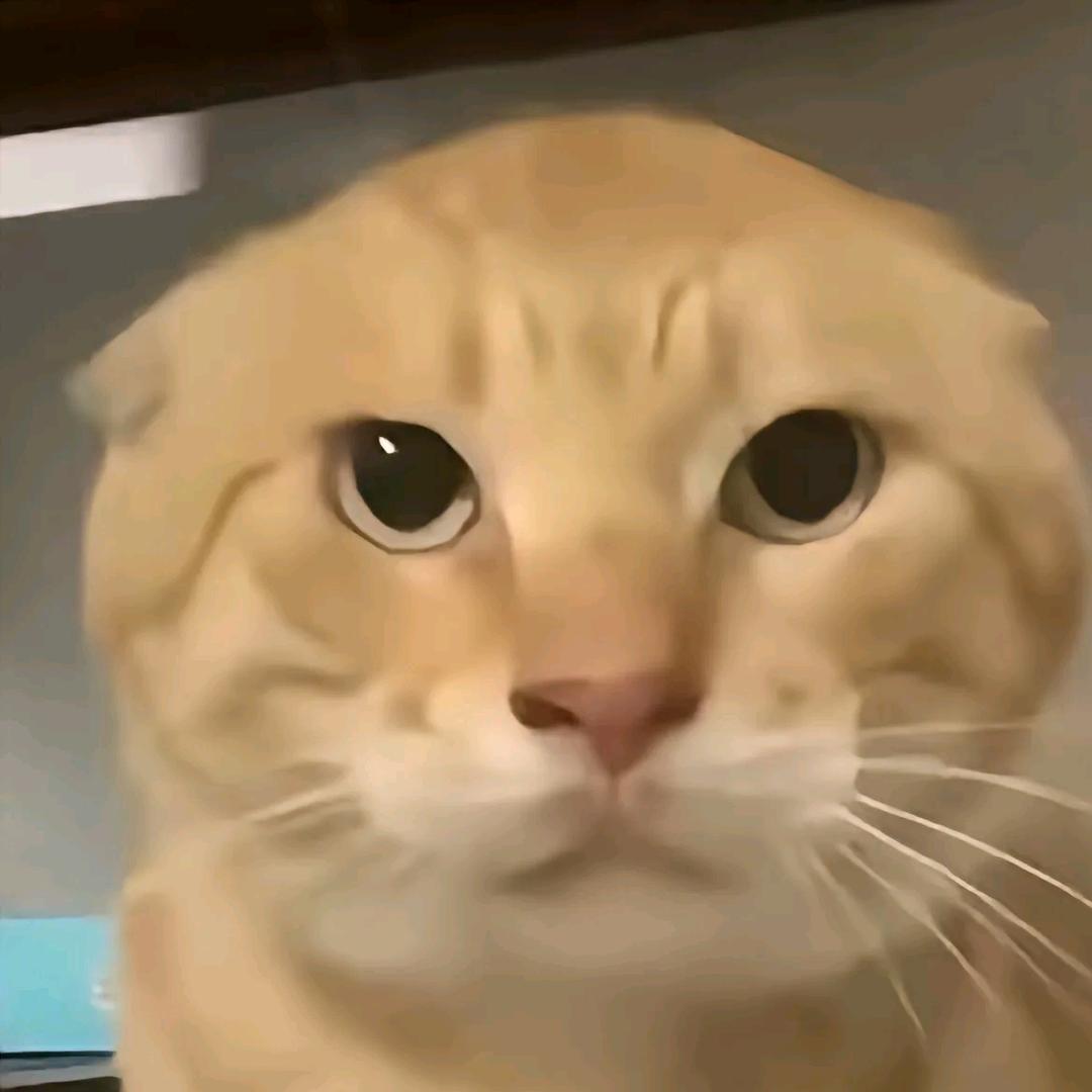 南北绿豆
