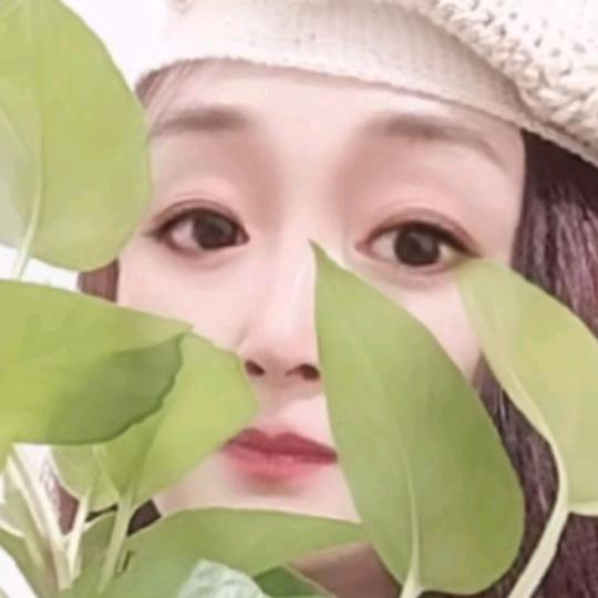 ☘️彭柒柒☘️