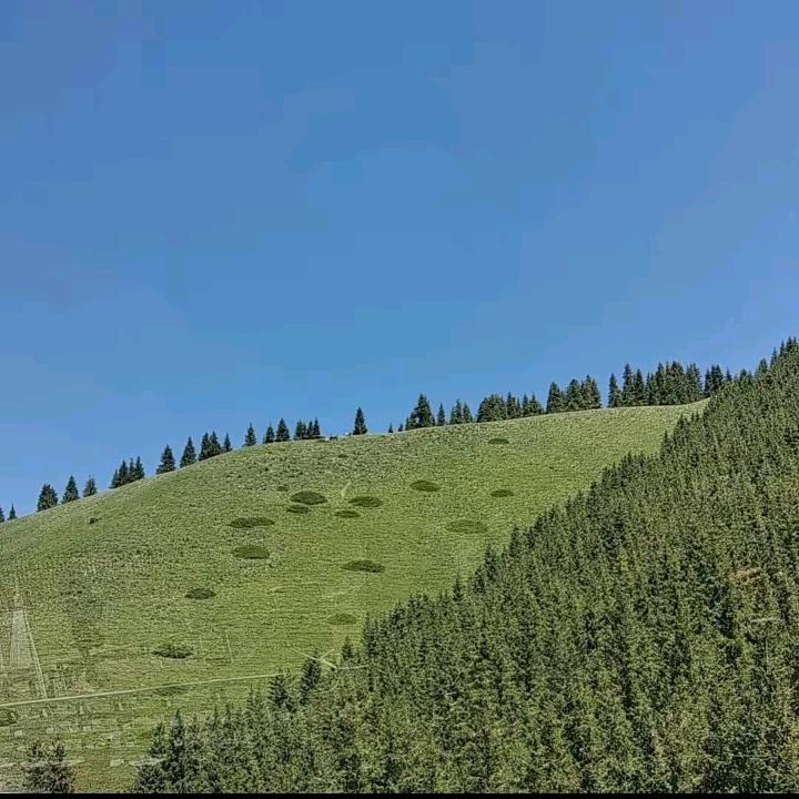 顺其自然，