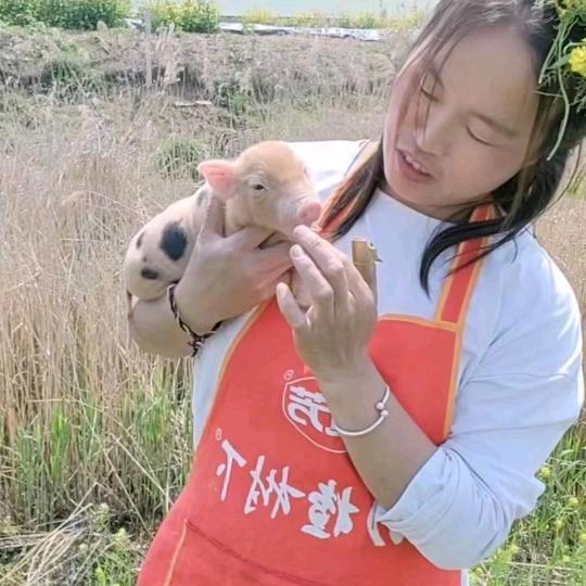 素素家庭农场