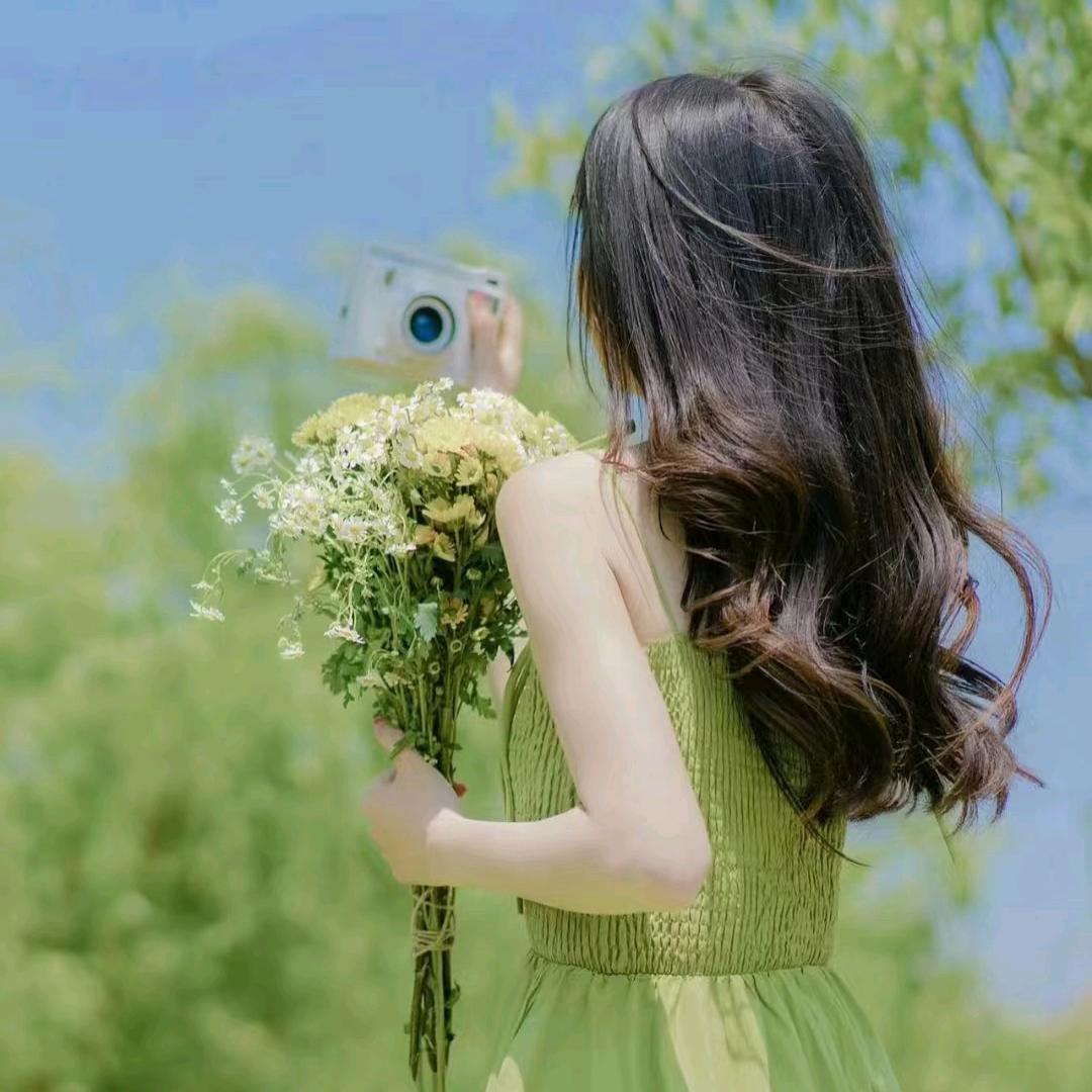 🎋竹林清风🍃