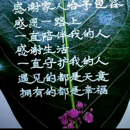 好好学习