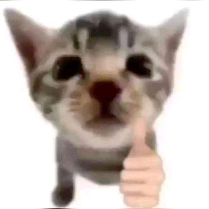 歇歇