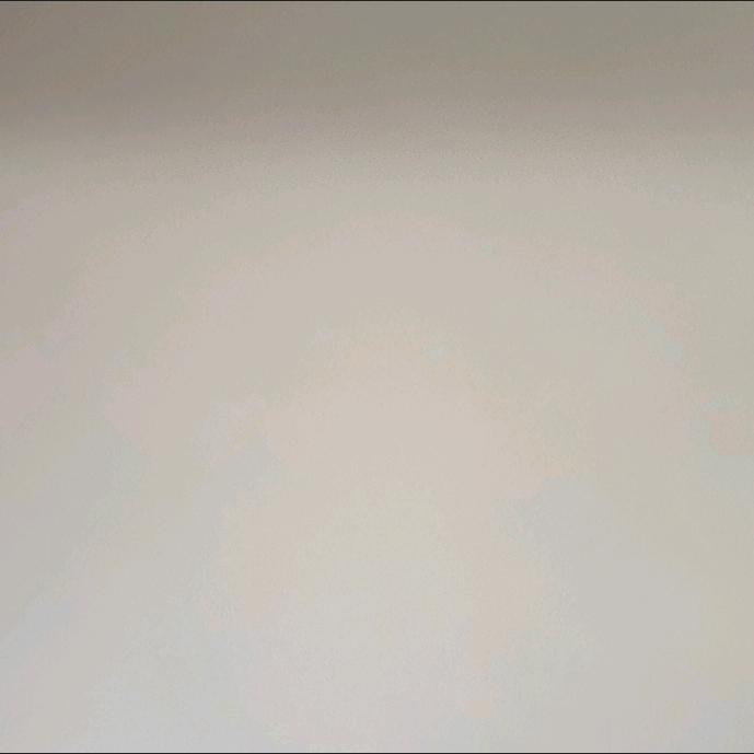 莲