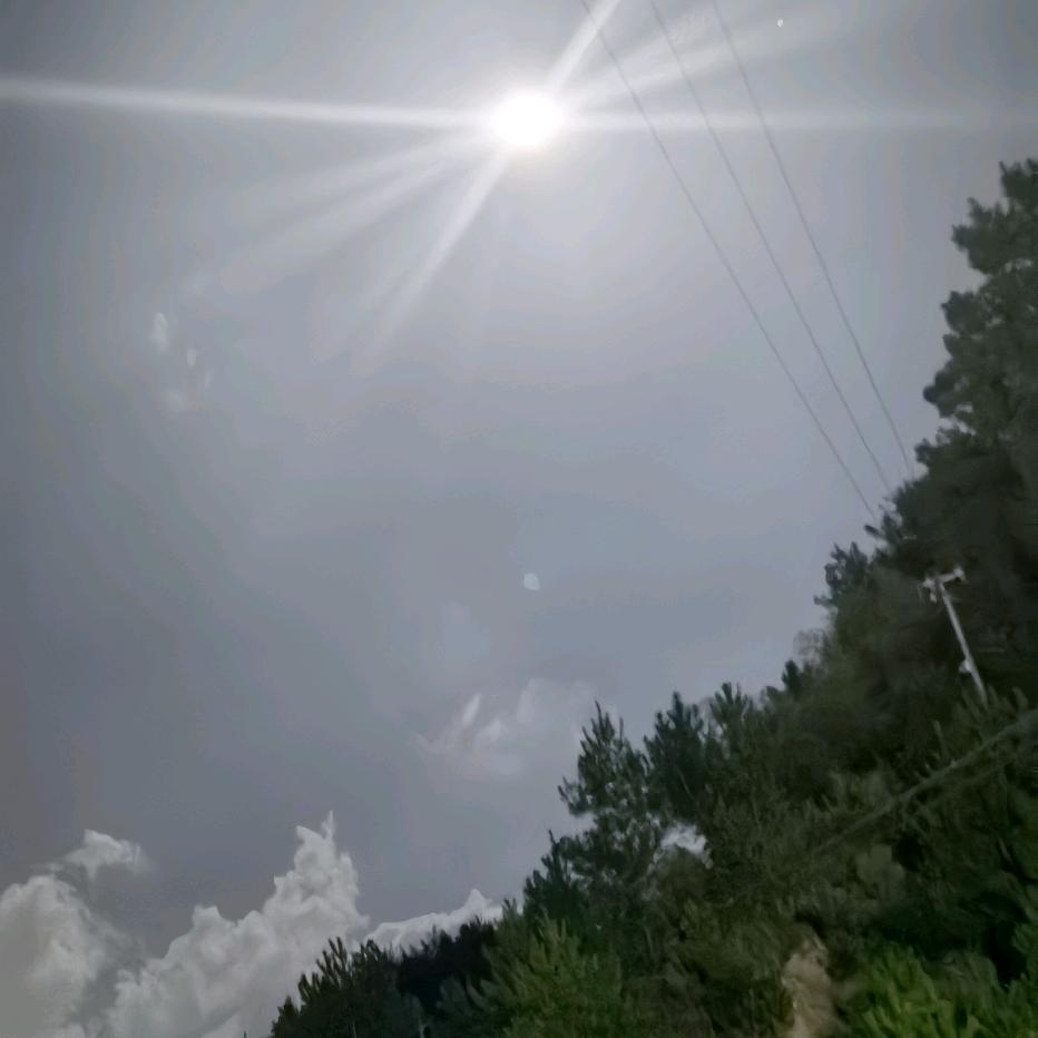 静静的秋