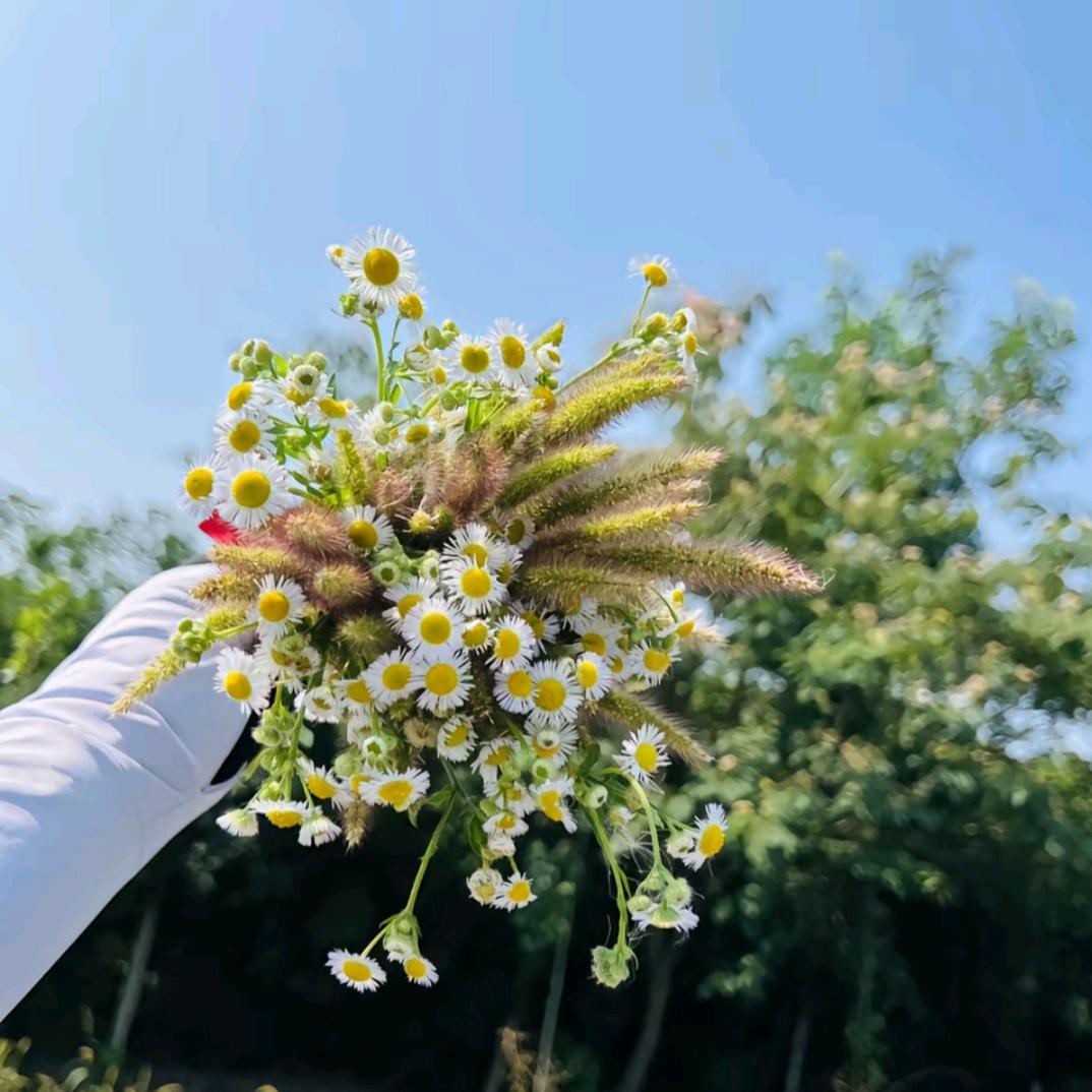 清风徐徐