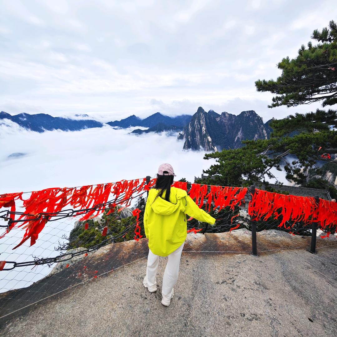 缔娜咖啡研究所