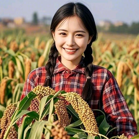 种地人～阿汪
