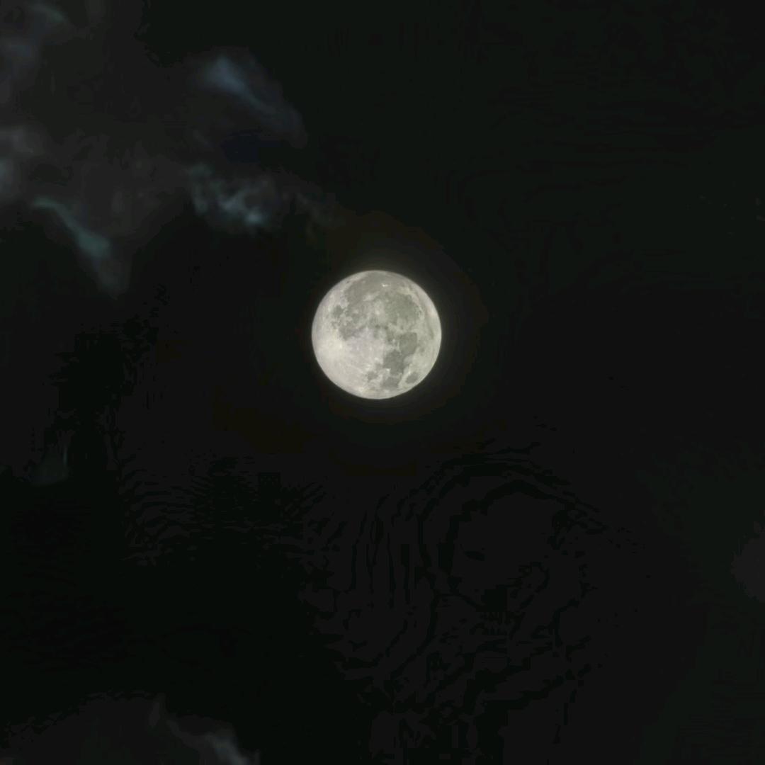 自由如风