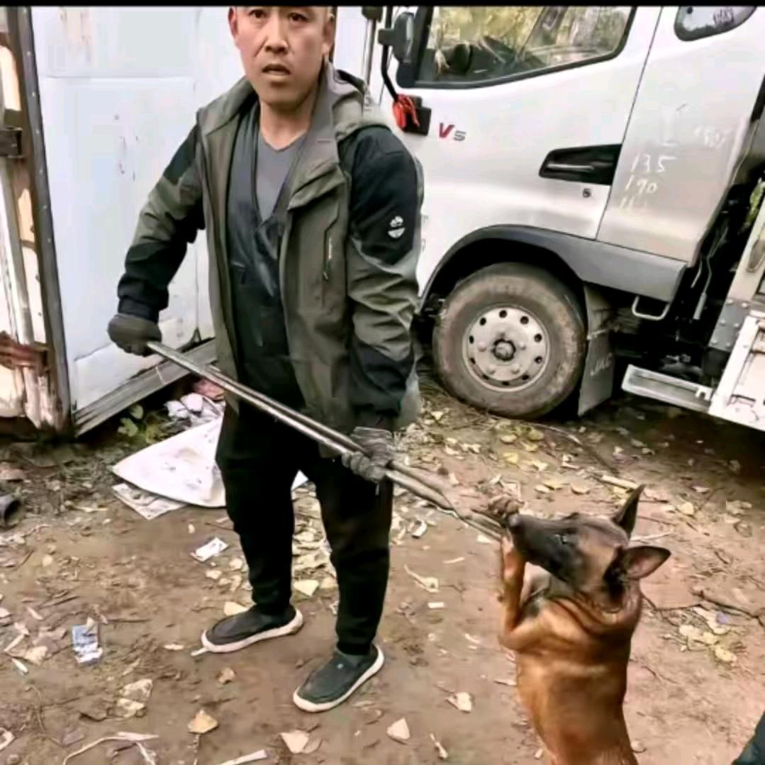 坤哥专业套狗