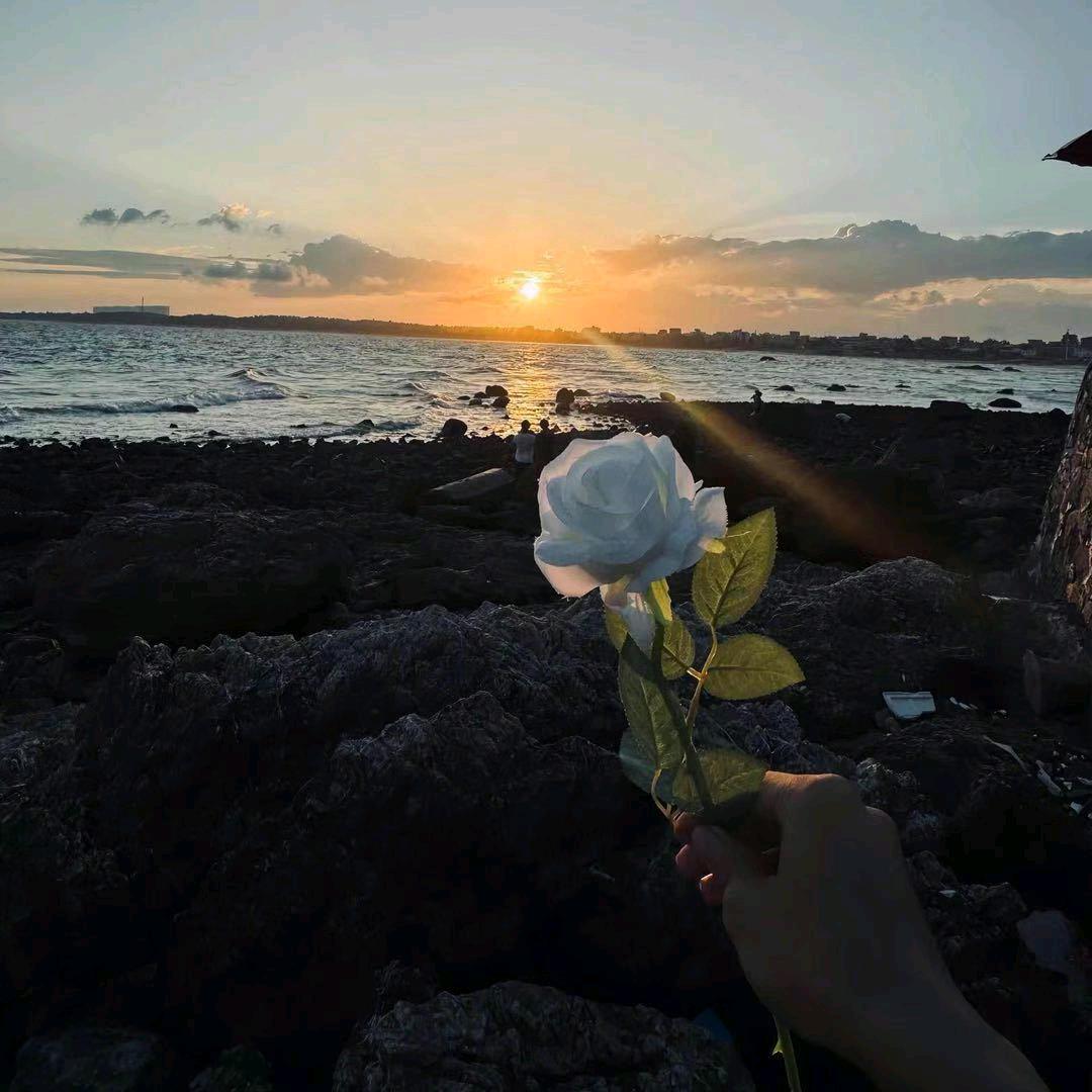 樱木没了花道
