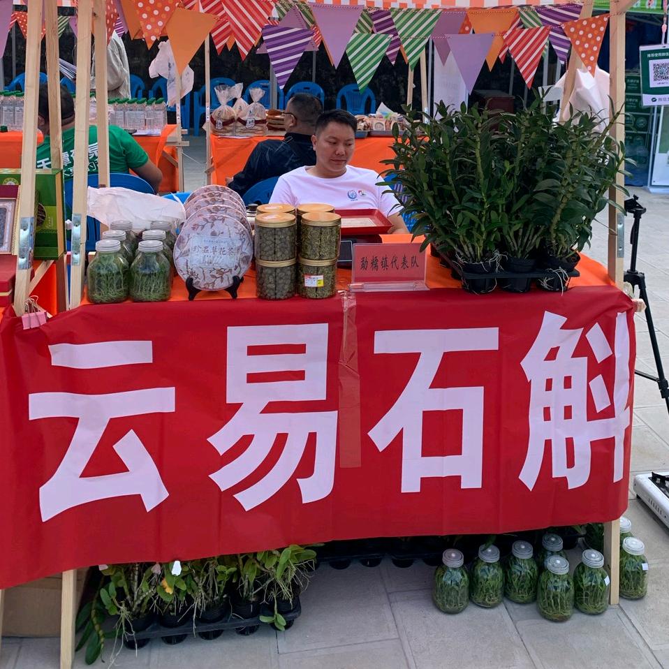云易石斛花卉