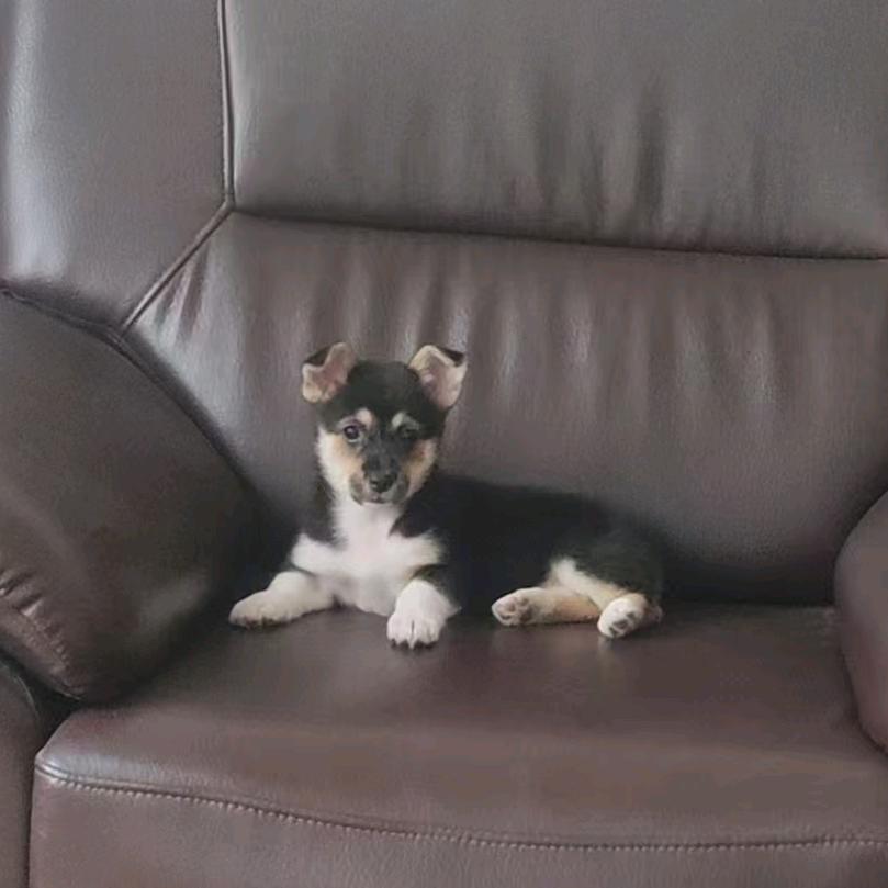 不惧挑战，扭转乾坤！