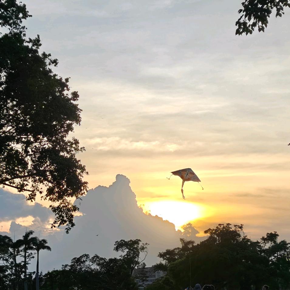 尘尘尘尘尘尘尘