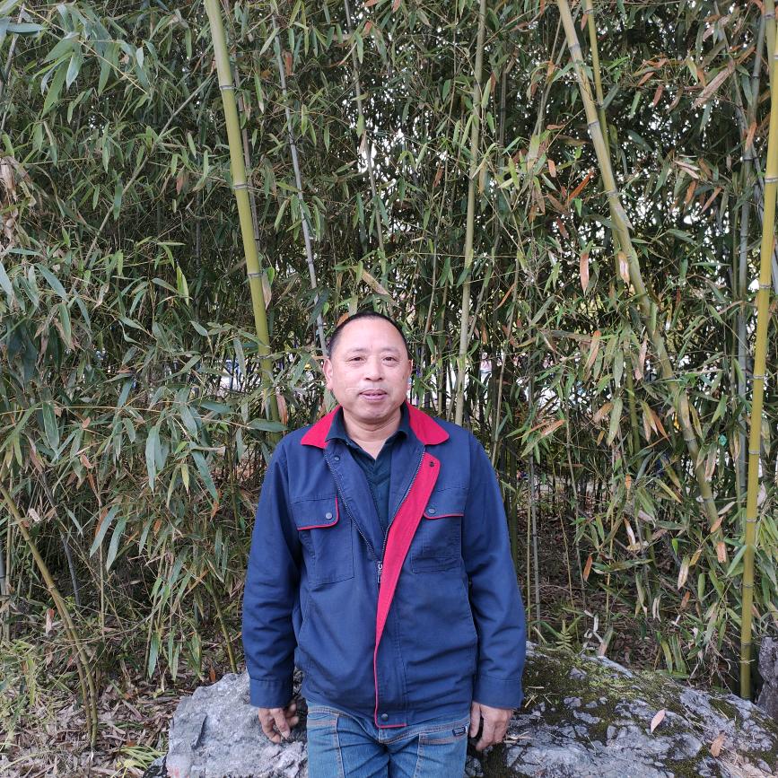 孤独的老鼠
