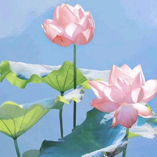 佛在心中