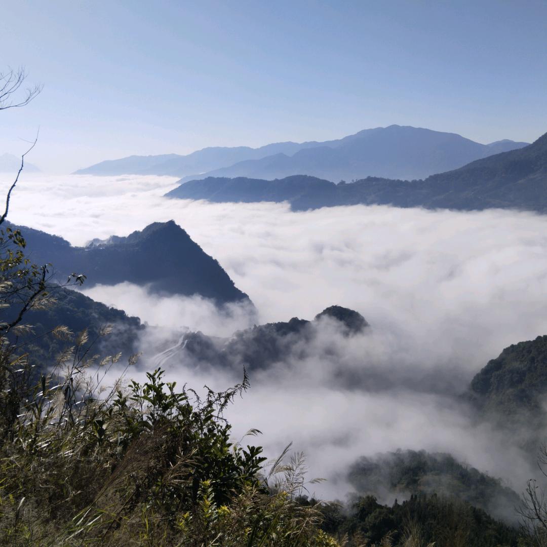 烟花落地全是灰