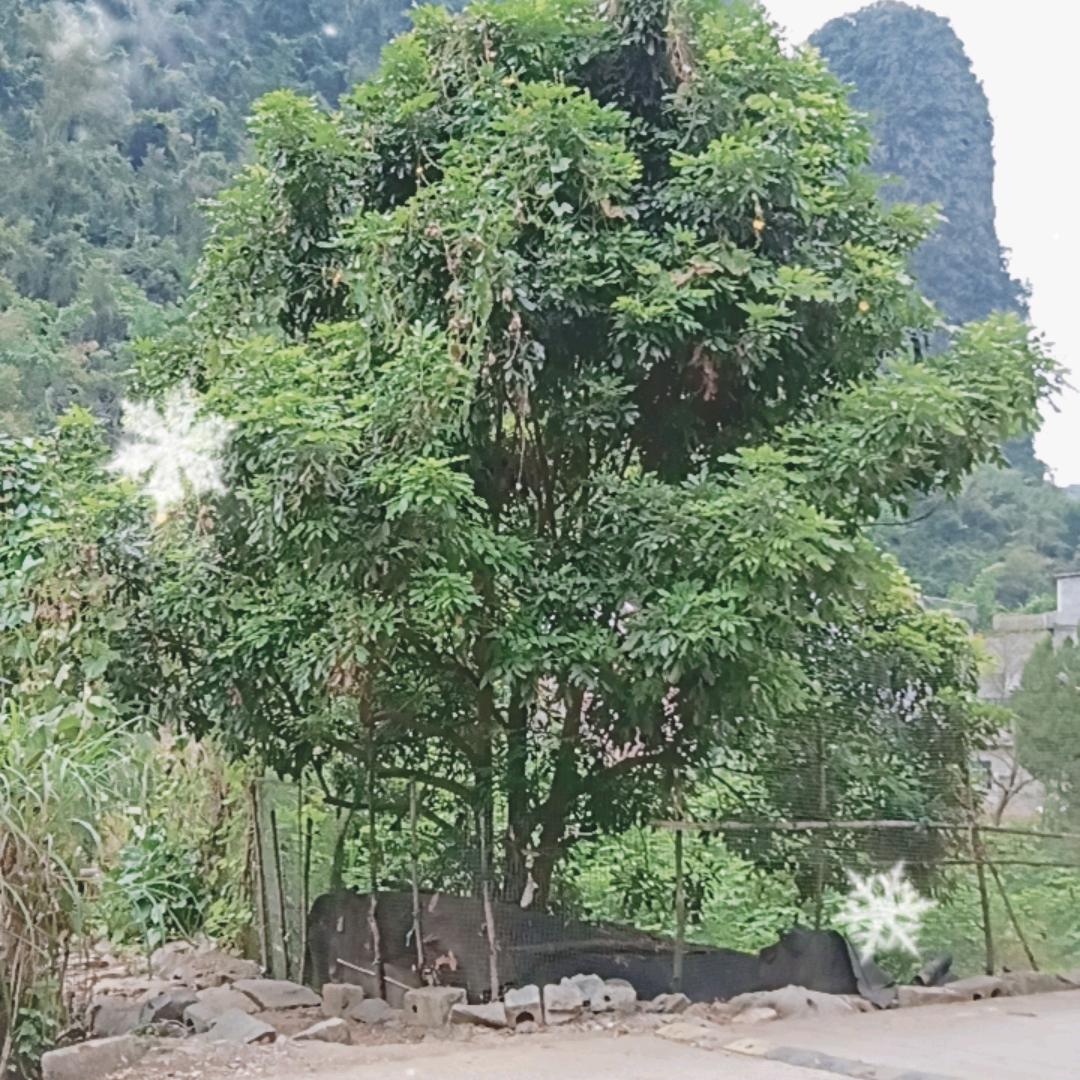 人生苦短