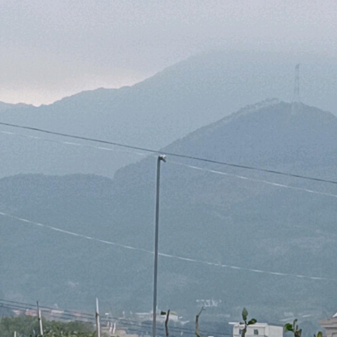 简单过一生