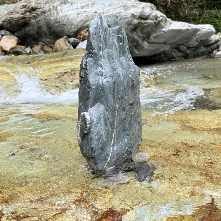 青畴物语