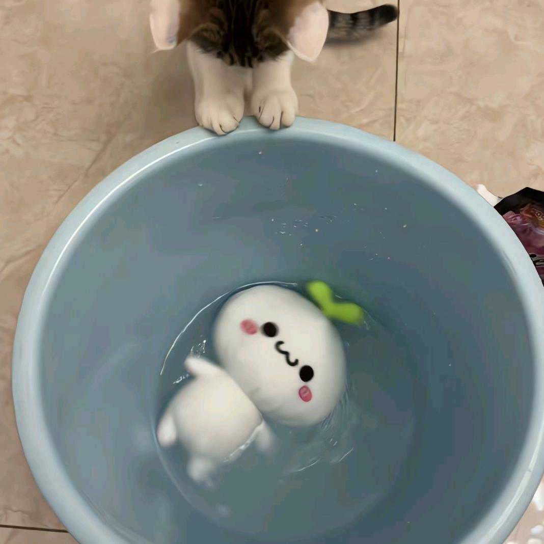 续集