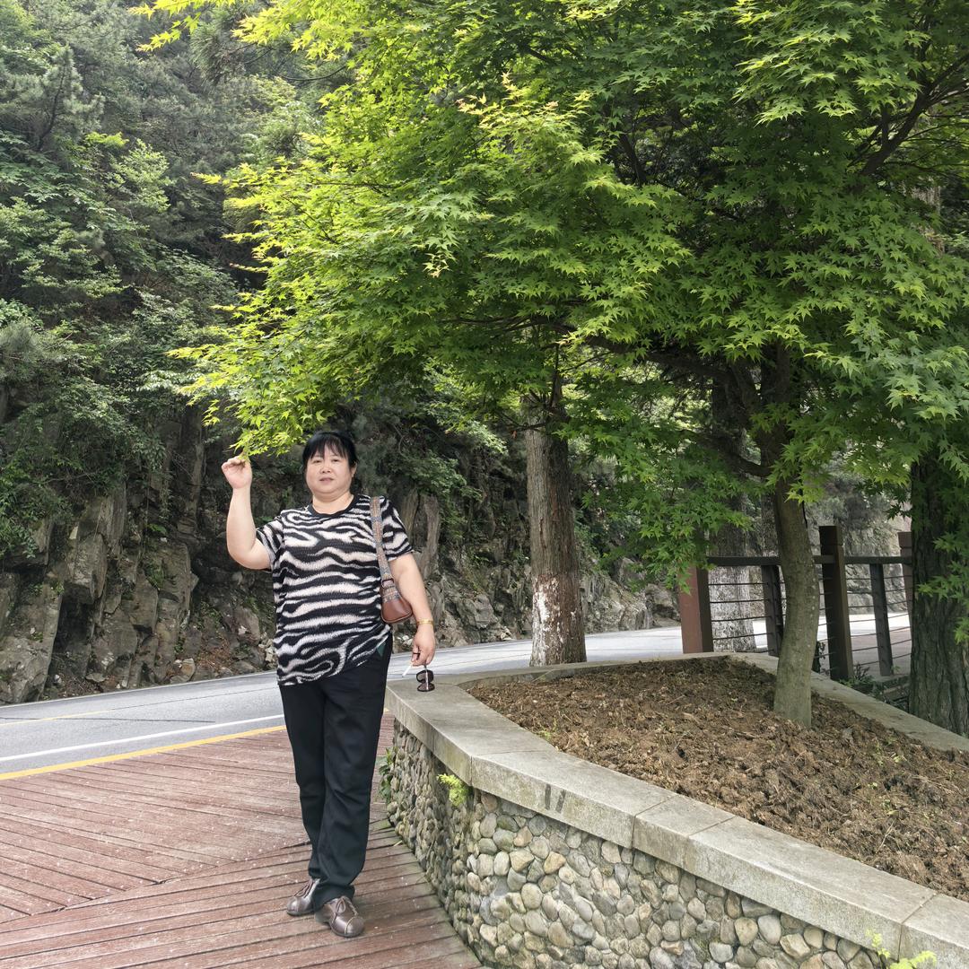 燕哥