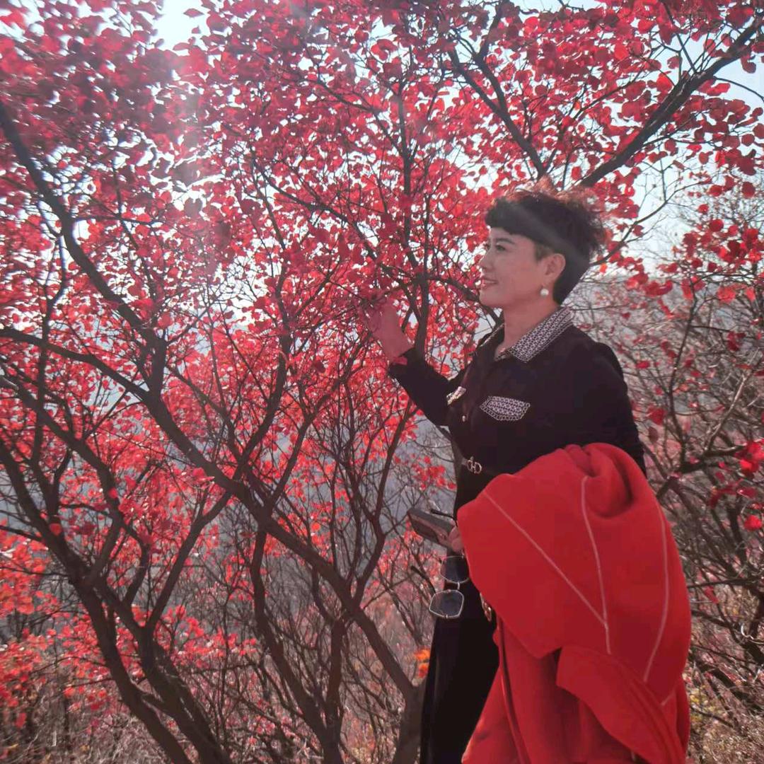 饺鲜园手工水饺《拒私聊》