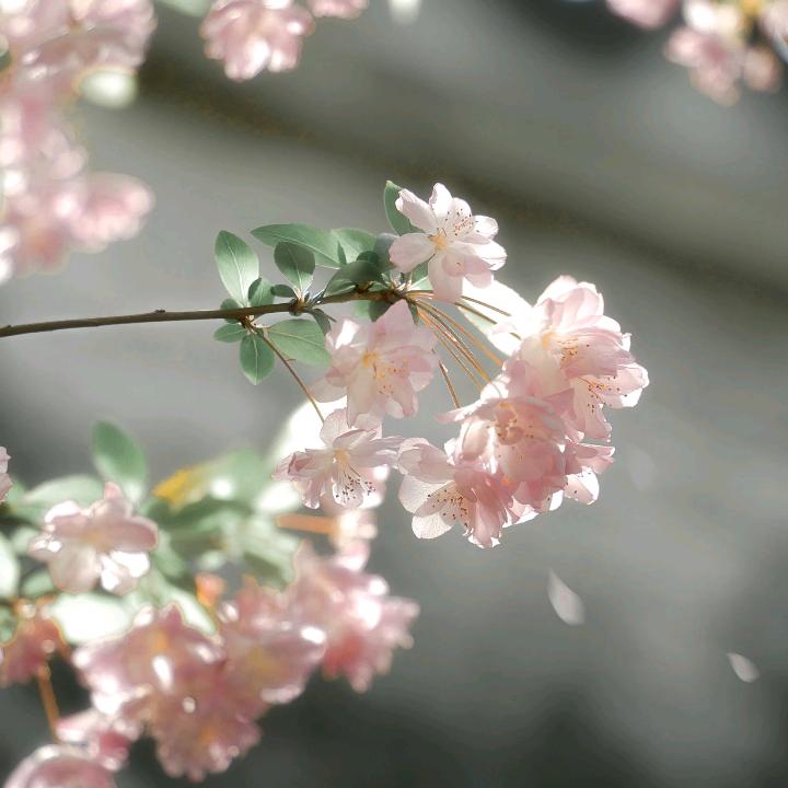 婉婷