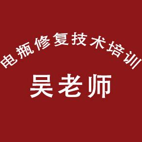 吴老师电瓶修复技术培训