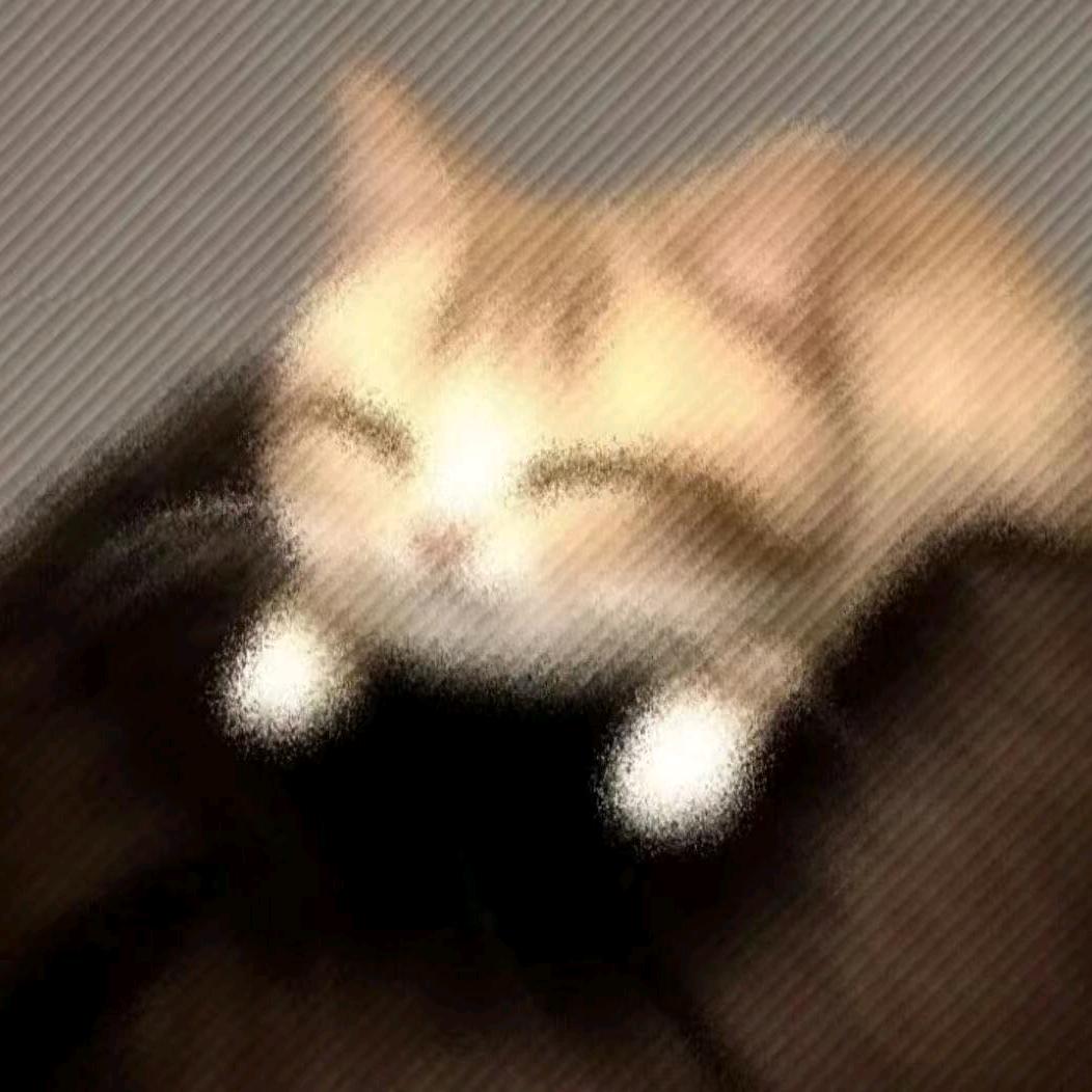 我有颖常晴