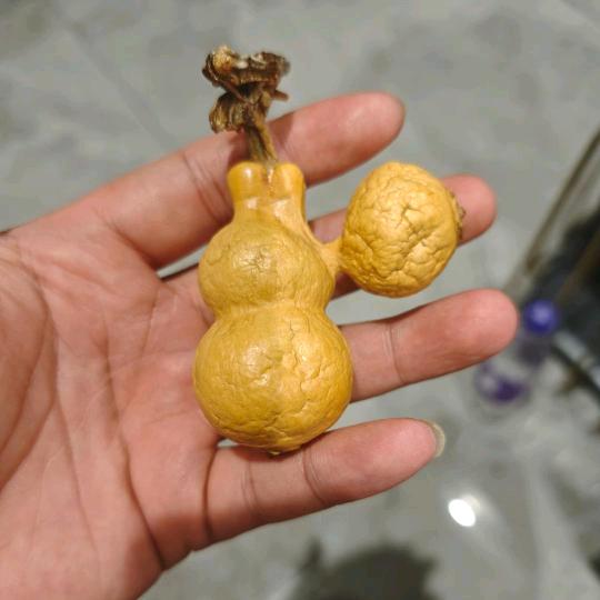 ☞卖破烂的葫涂涂☜