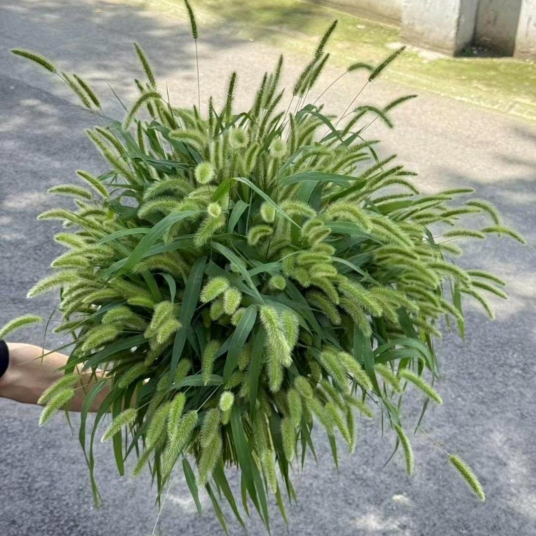 随缘👀
