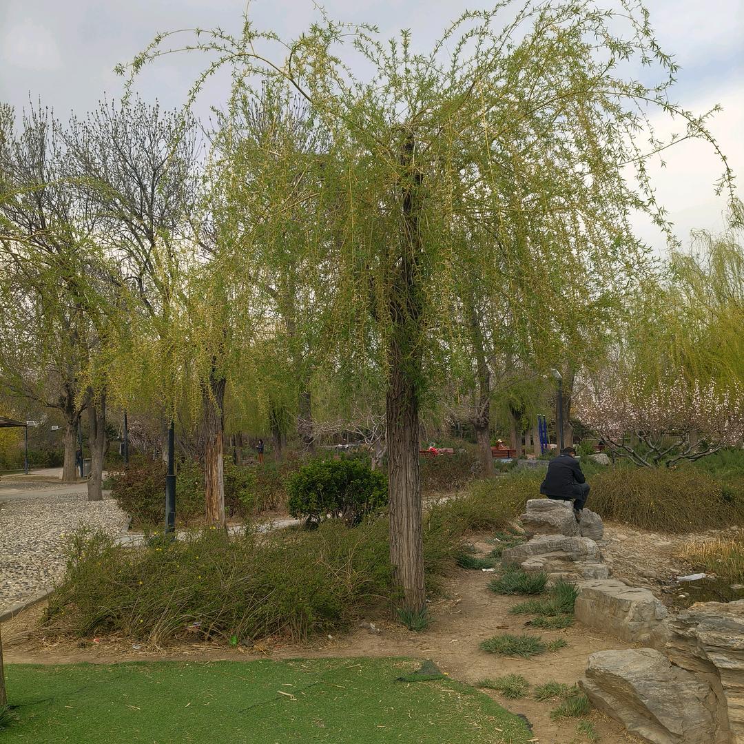 单身快乐